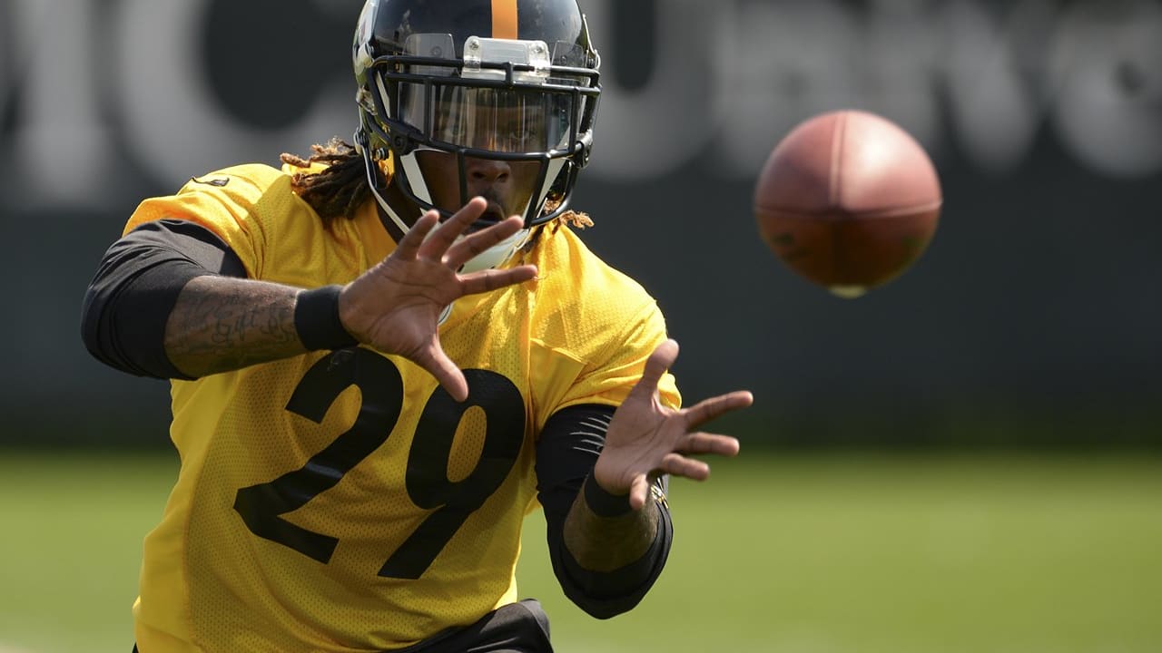 Steelers OTAs Day 6