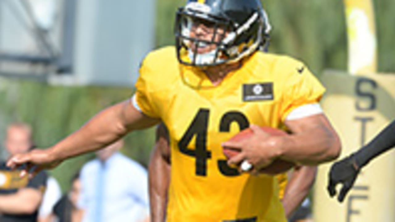 Steelers four-time All-Pro Polamalu retires 