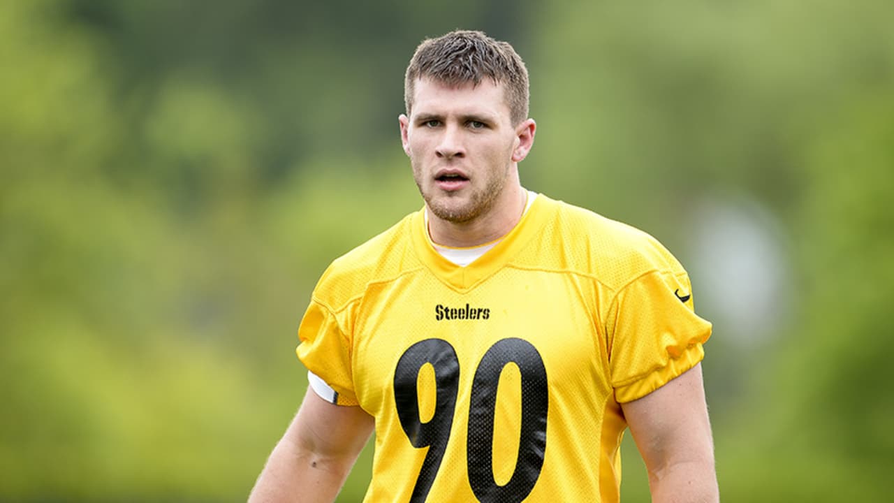 Meet T. J. Watt: Pittsburgh Steelers - Lerner Publishing Group