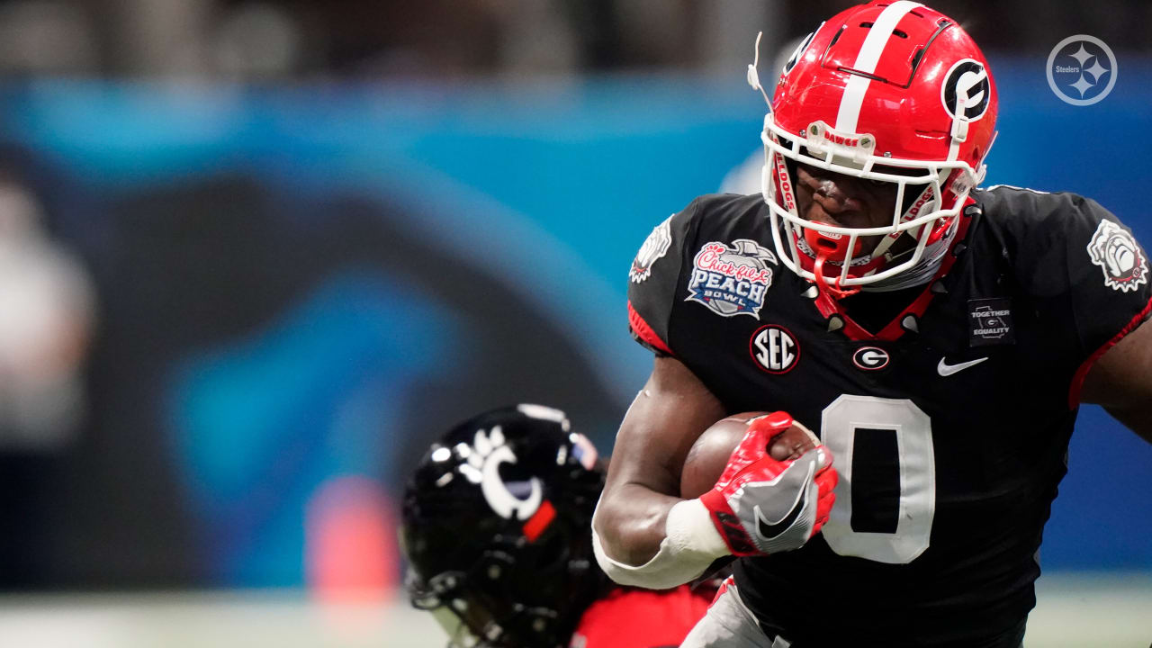 Darnell Washington NFL Draft Prospect Profile and Scouting Report