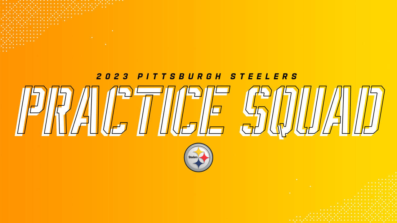 Steelers add nine to the practice squad