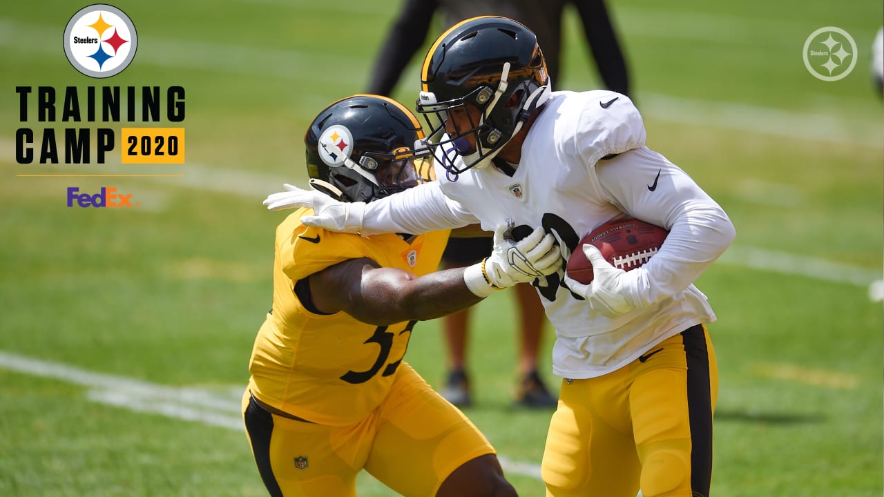 Mike Tomlin Praises Steelers ILB Devin Bush in Return to Action - Steelers  Now