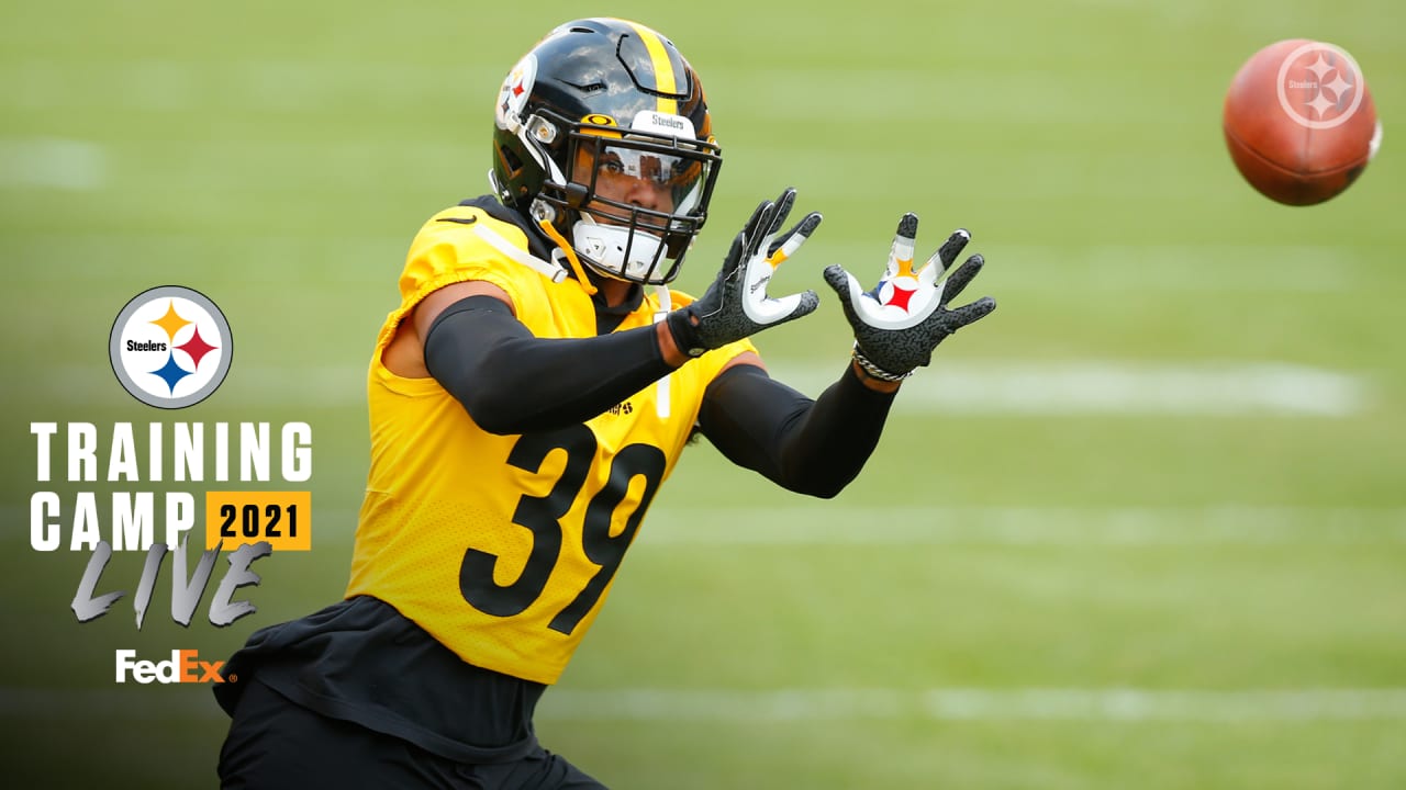 Steelers Training Camp: Three positions to watch