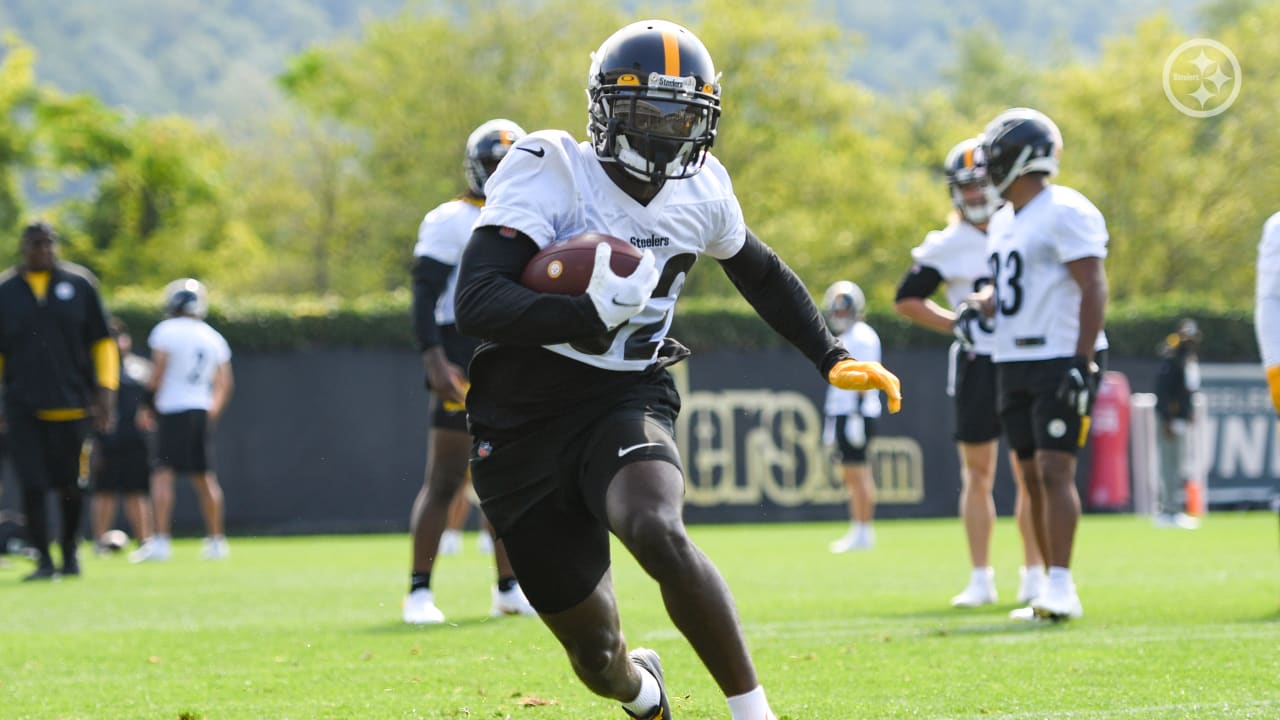 Steelers Rookie Connor Heyward Seems To Be A Lock To Make 53-Man Roster;  Could Even Push Zach Gentry For No. 2 TE Spot