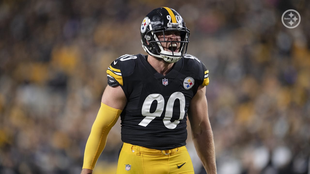 Steelers' T.J. Watt ties NFL's single-season sack record