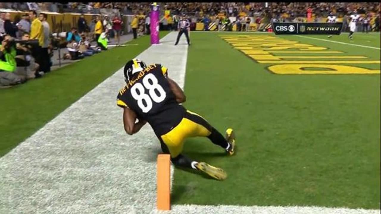 Mike Vick hits Darrius Heyward-Bey for first TD pass as Steeler