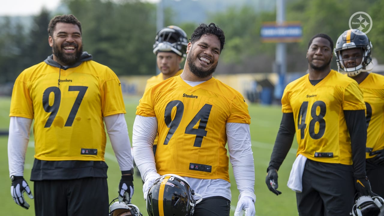 Zach Banner, Devin Bush make appearance on field during Steelers' OTA  session