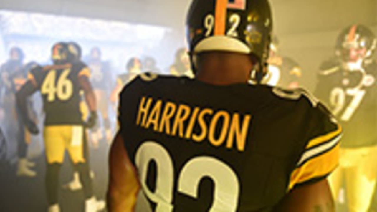 18 October 2009: Pittsburgh Steelers linebacker James Harrison (92