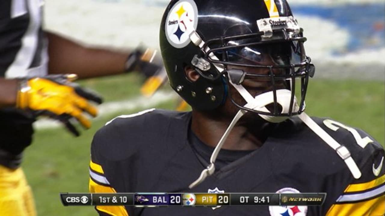 Michael Vick ended his career on the Pittsburgh Steelers