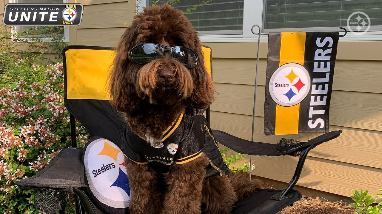 PHOTOS: My Steelers pet – Feb. 27