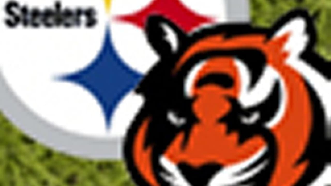 Steelers Bengals Recap