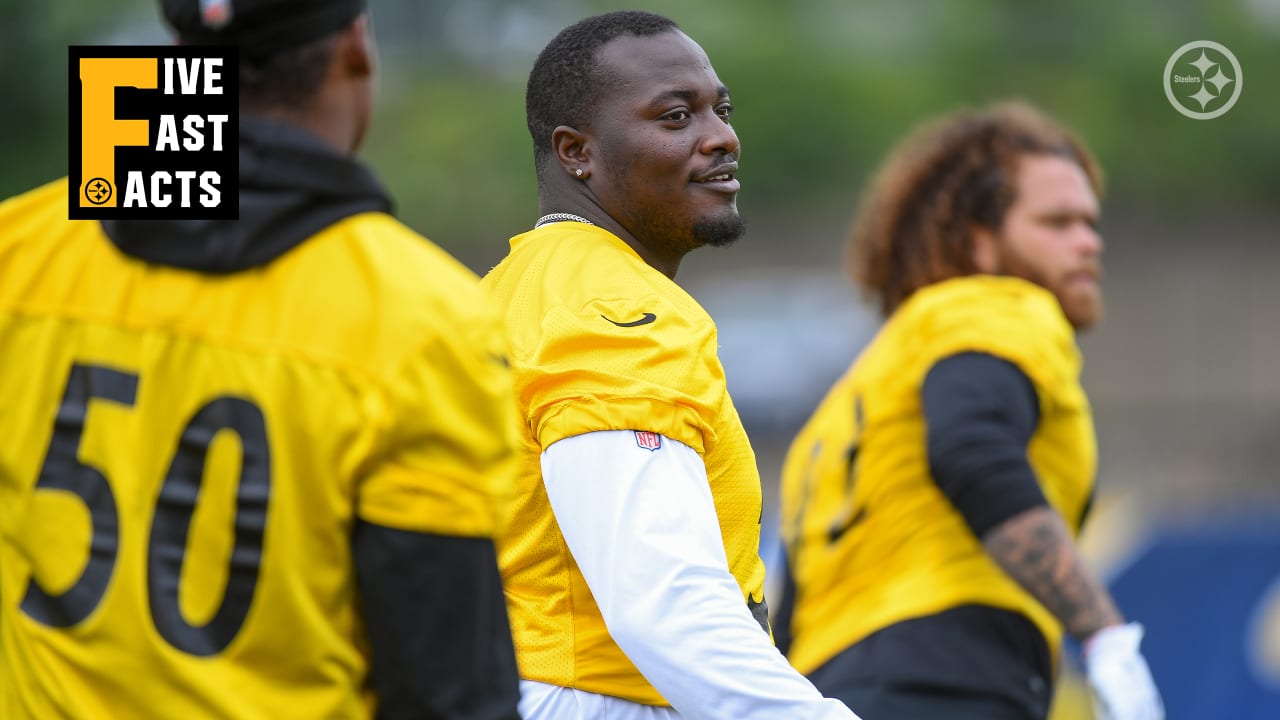 Steelers 2-a-days: Returning starter DT Montravis Adams, versatile