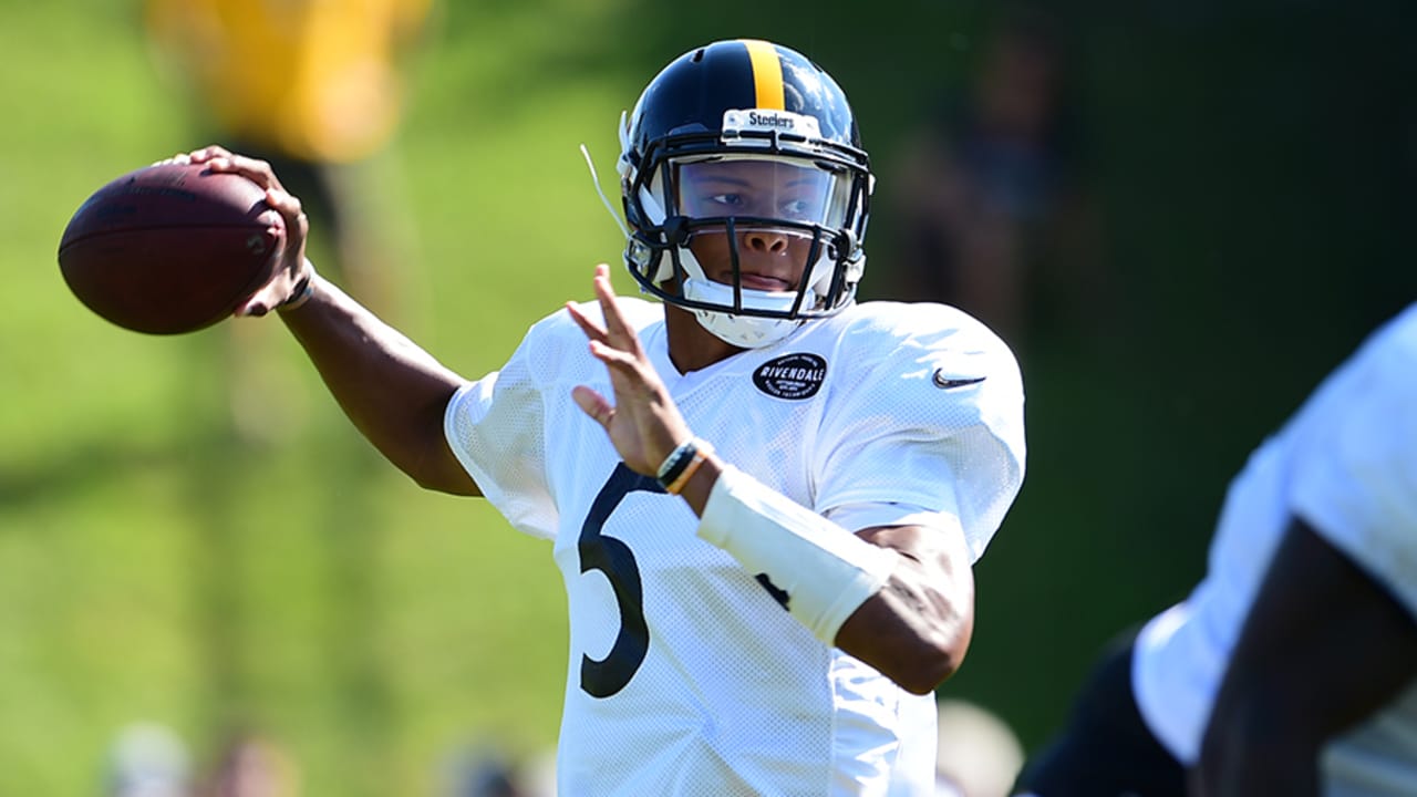 Steelers' Diontae Johnson Declares His Desire To Play For Steelers Until He  Retires