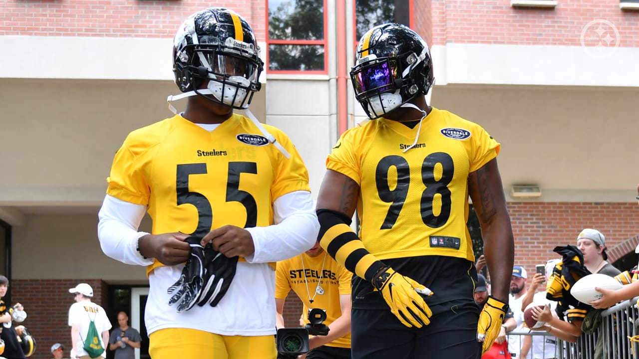 Devin Bush confident he, Vince Williams can shoulder Steelers ILB