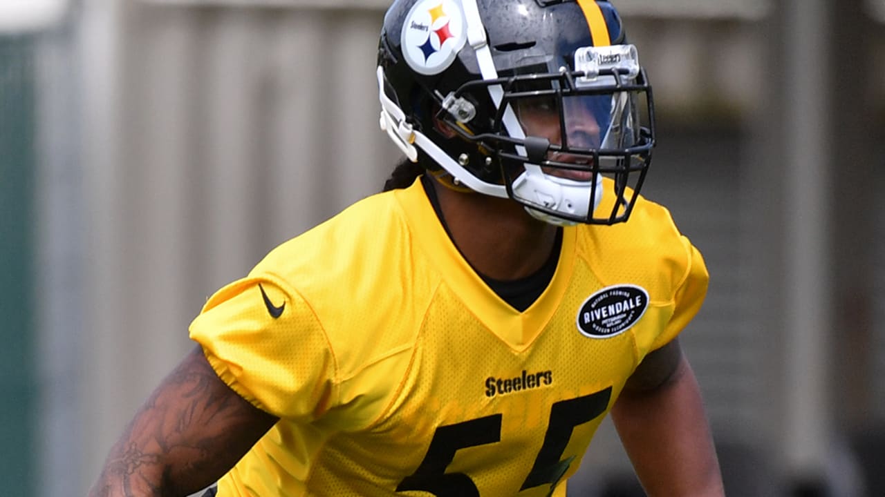 Devin Bush
