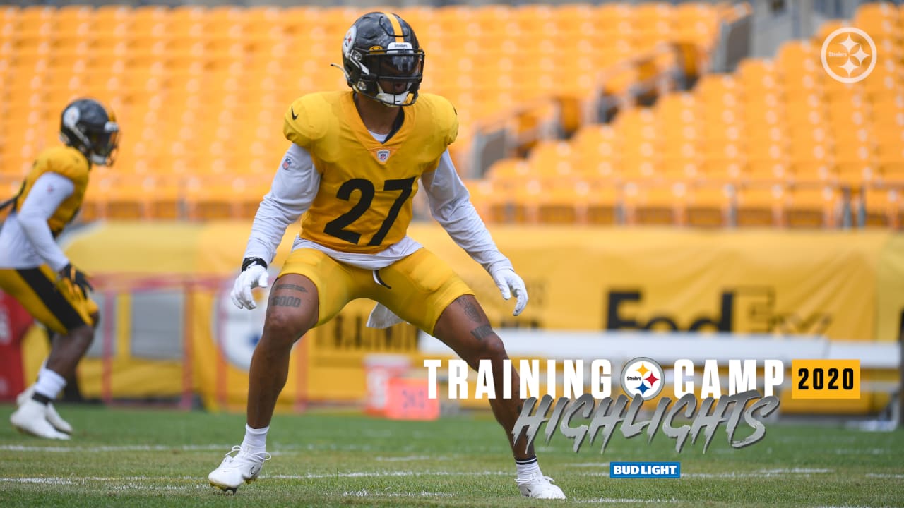 Pittsburgh Steelers Training Camp Recap: Week 2, Sports