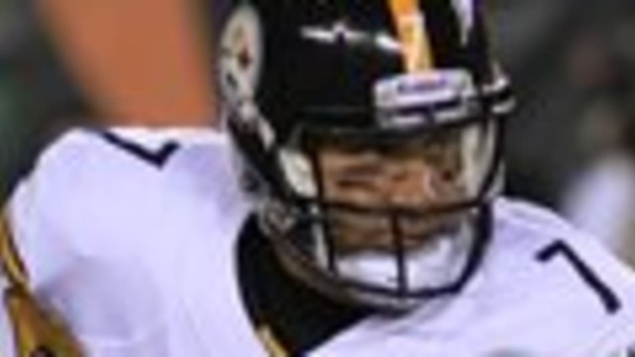 Steelers' Troy Polamalu and LaMarr Woodley officially ruled out of game  against Titans - SB Nation Pittsburgh