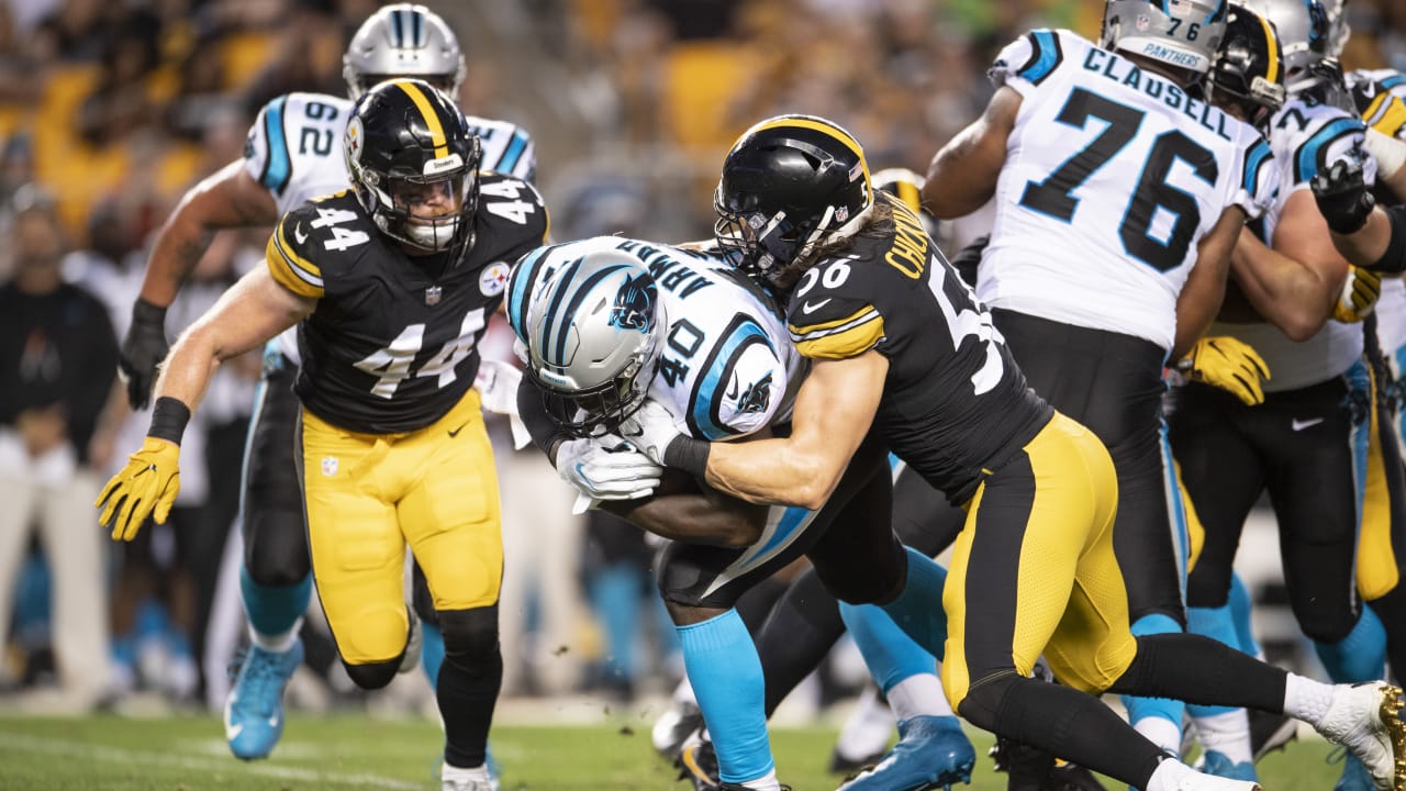 pittsburgh steelers and carolina panthers