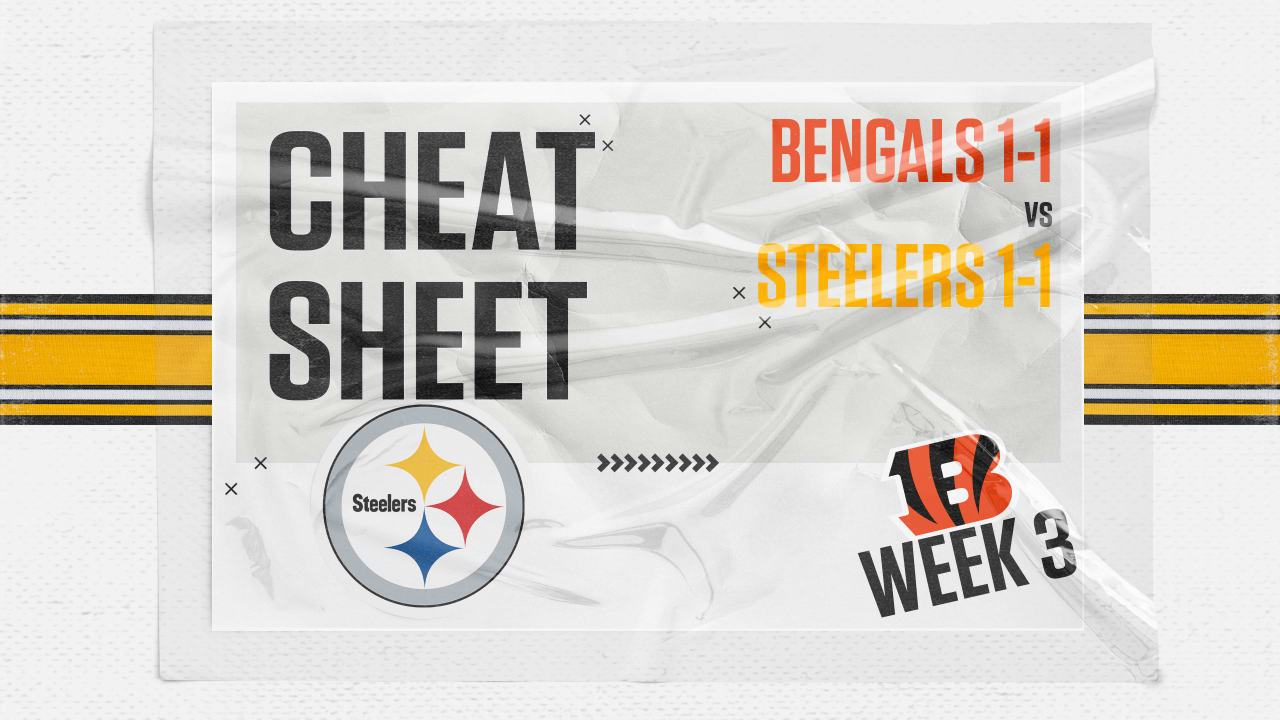 Steelers vs Bengals Fantasy Football Worksheet, Week 12