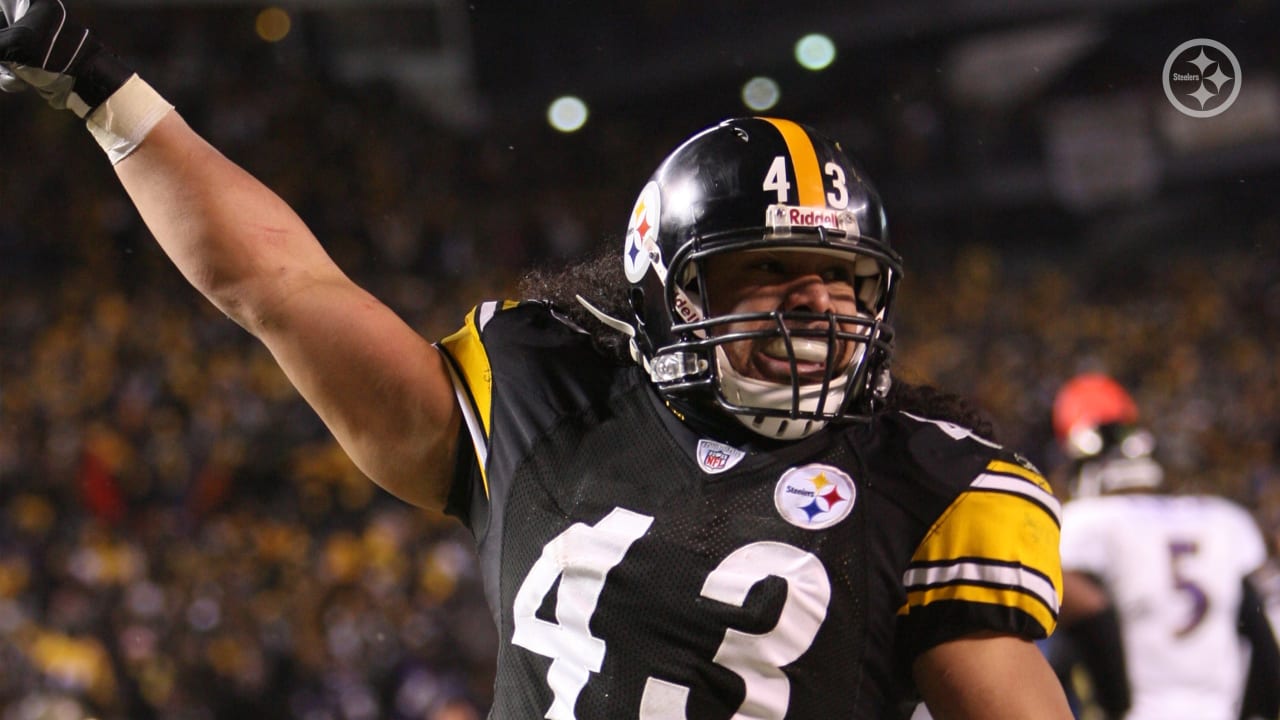 troy polamalu 2004