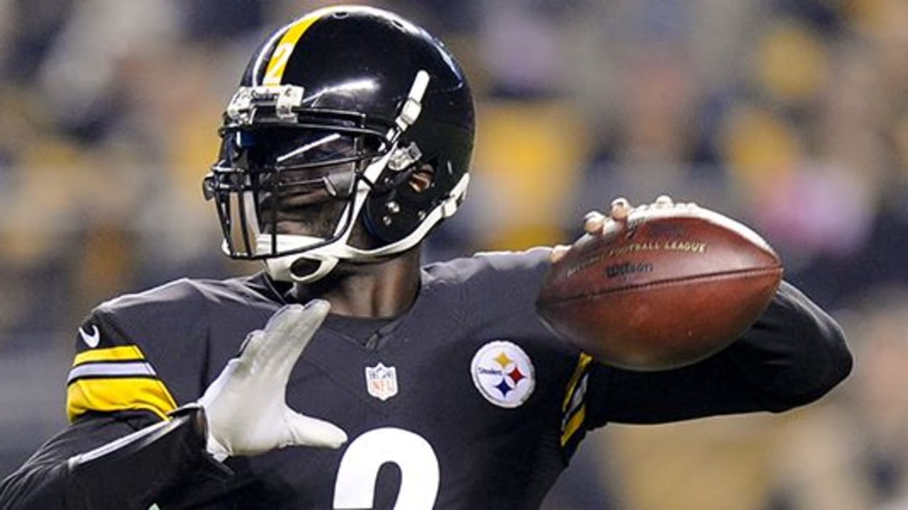 Michael Vick Fast Facts