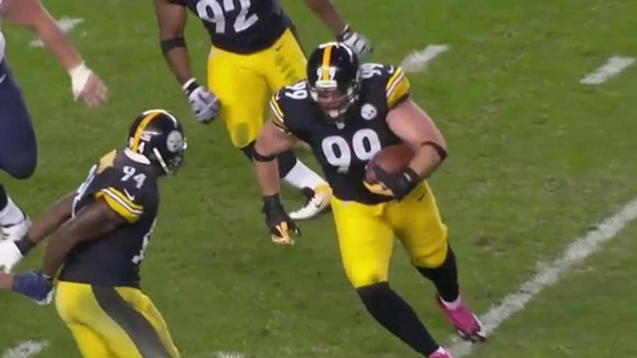 Brett Keisel Stats, News and Video - DE