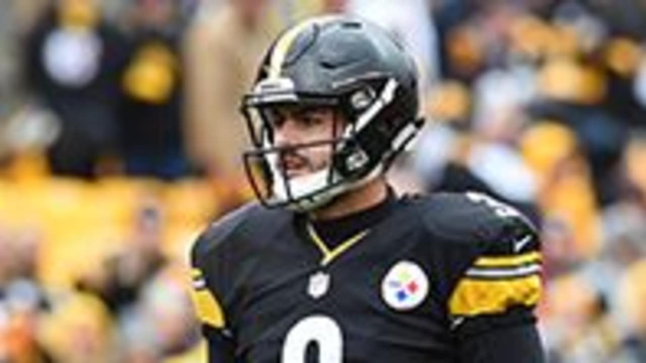 Confident Vick prepared to fill in for Roethlisberger