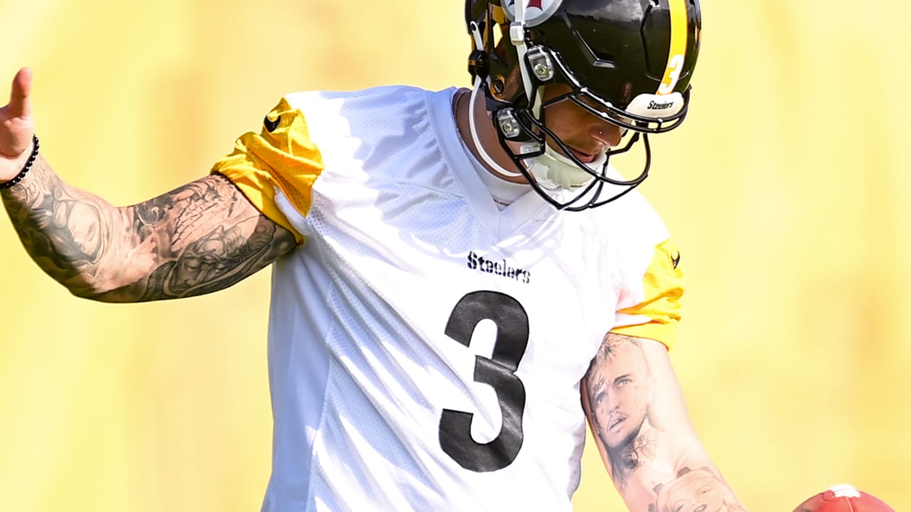 Steelers To Bring Back P Brad Wing