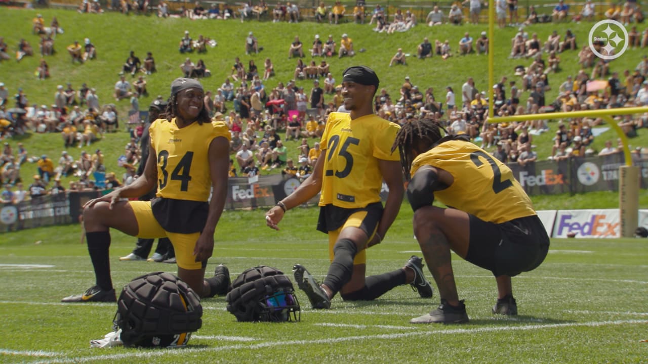 Steelers long snapper Christian Kuntz goes undercover as ticket scanner at  training camp