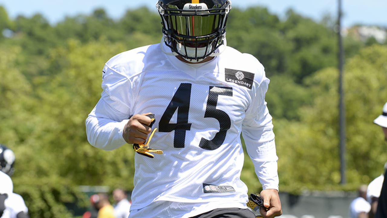 2015 Pittsburgh Steelers Rookie Review: How Roosevelt Nix could be