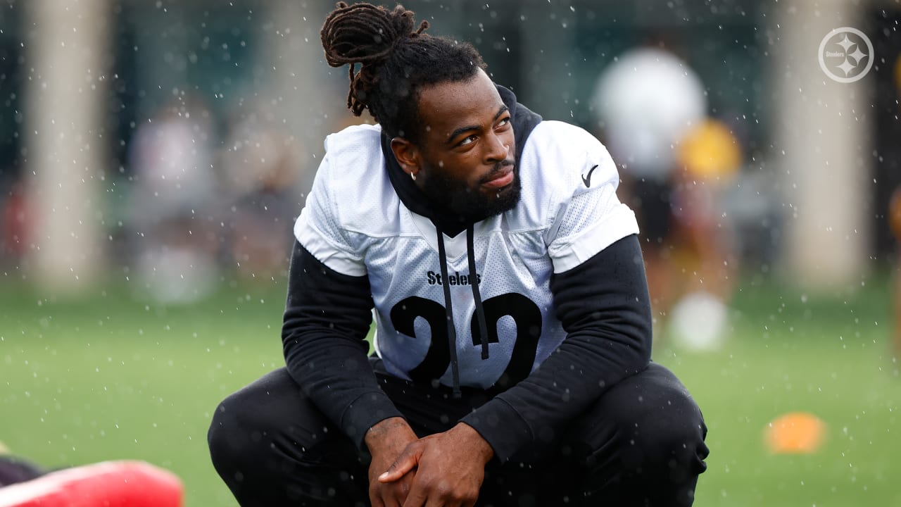 Veteran Steelers DL Impresses Mike Tomlin With Strong Camp