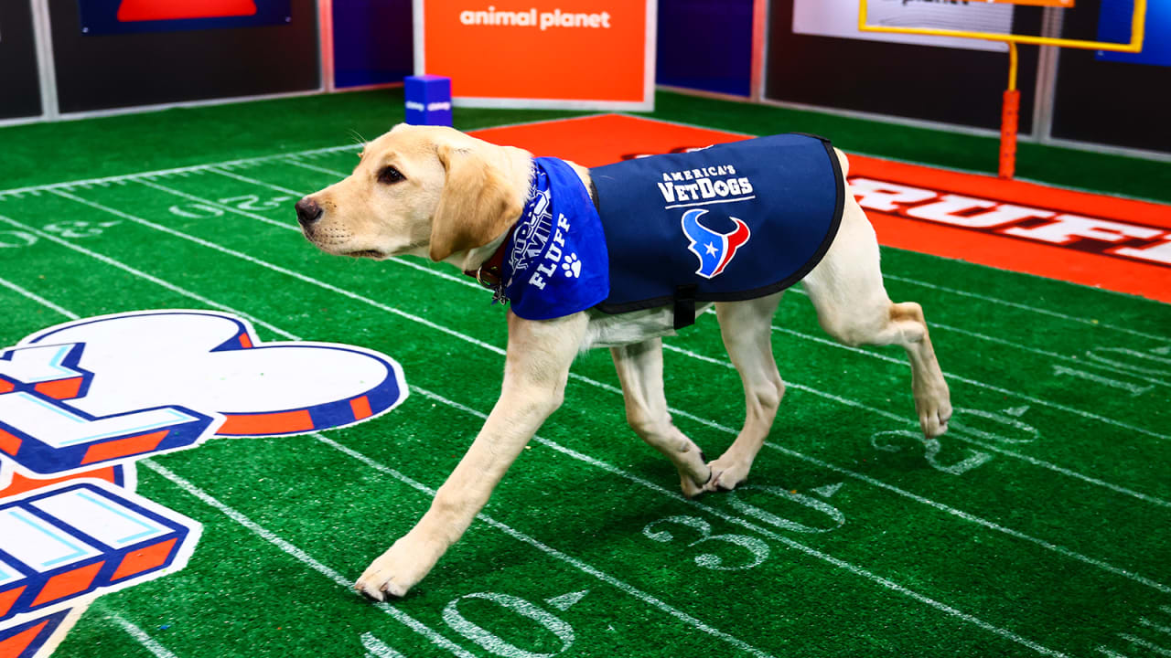 Who Won Puppy Bowl Mvp