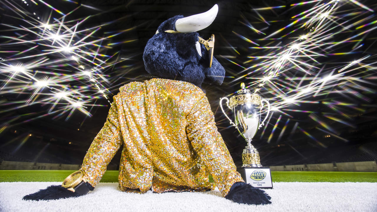 Houston Texans' Toro 1 of 9 mascots selected to attend 2020 Pro