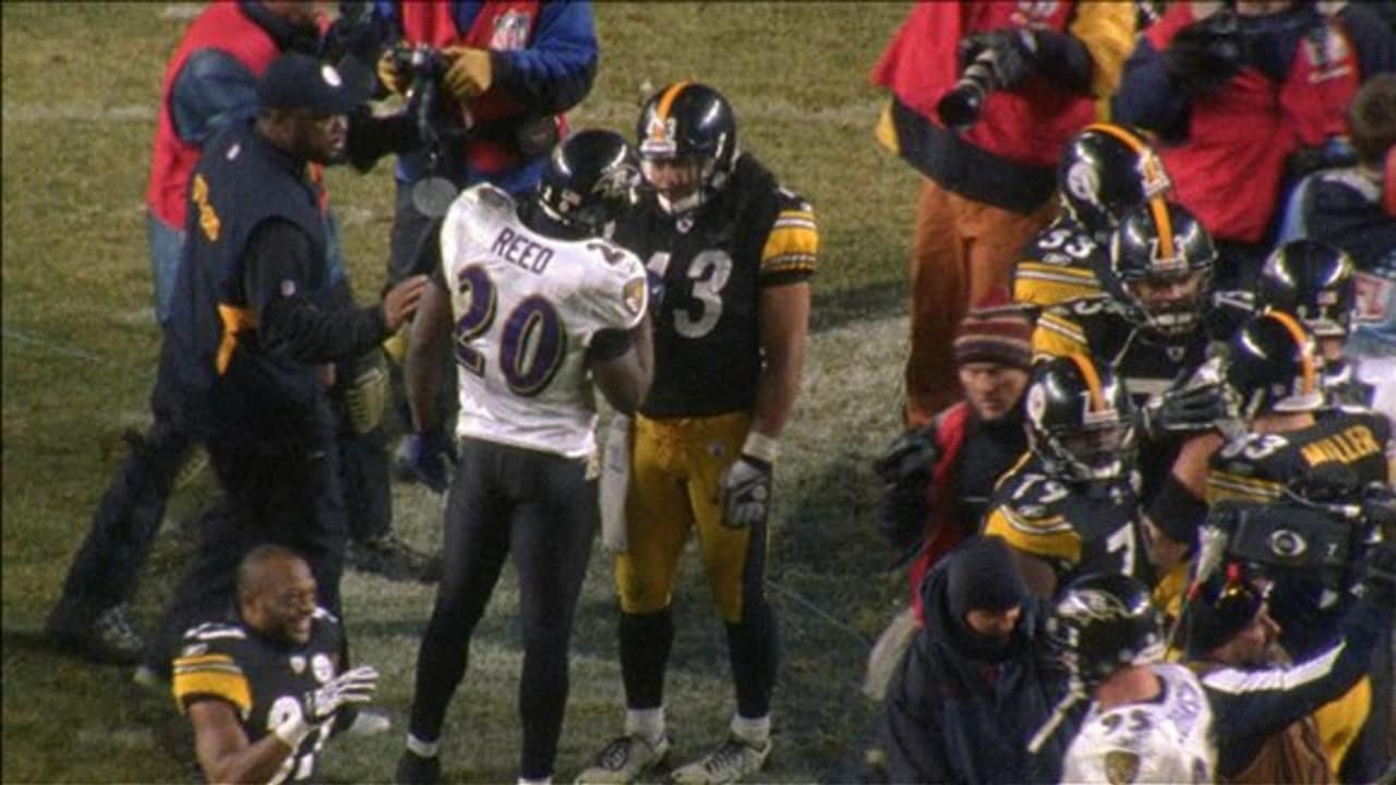 Troy Polamalu Greatest Plays