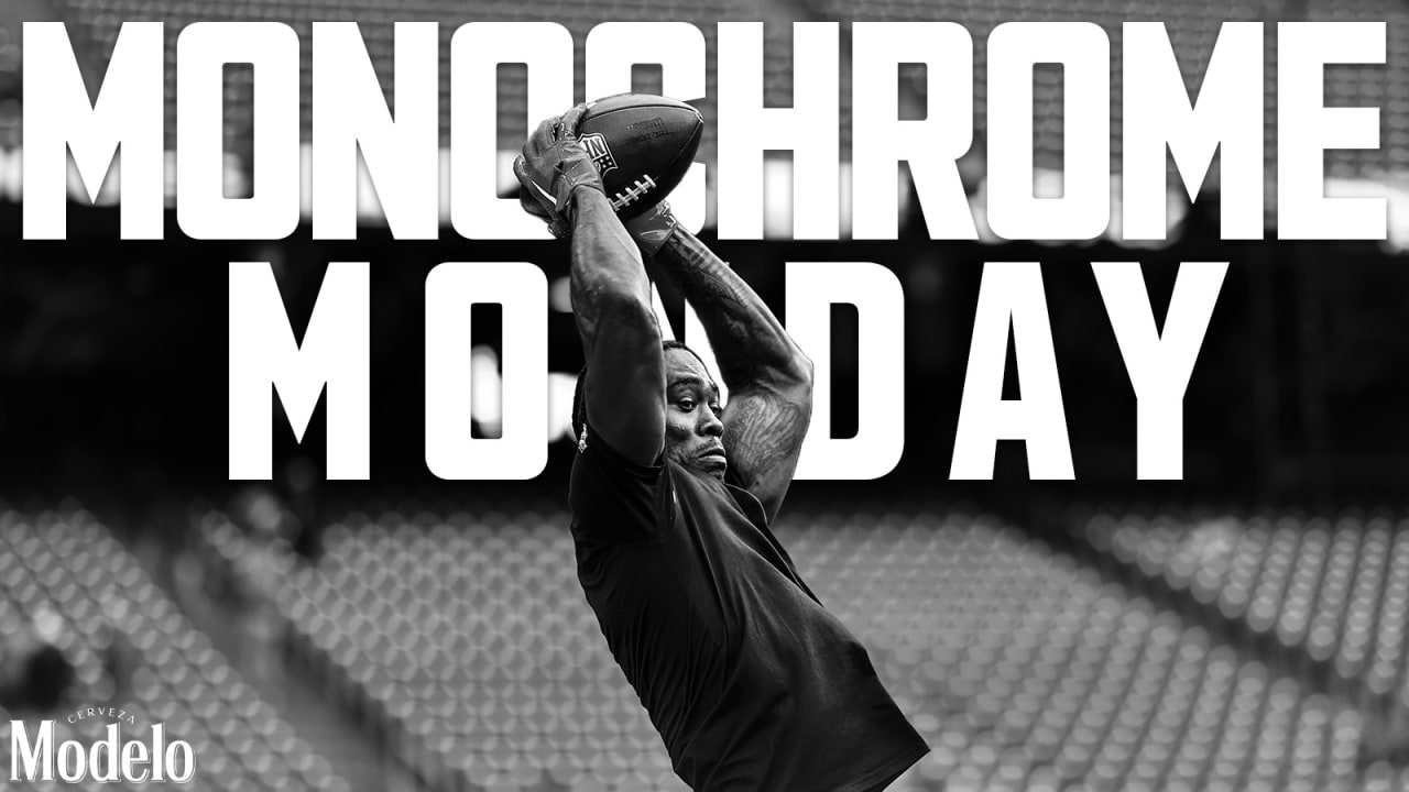 Houston Texans on X: Monochrome Monday 