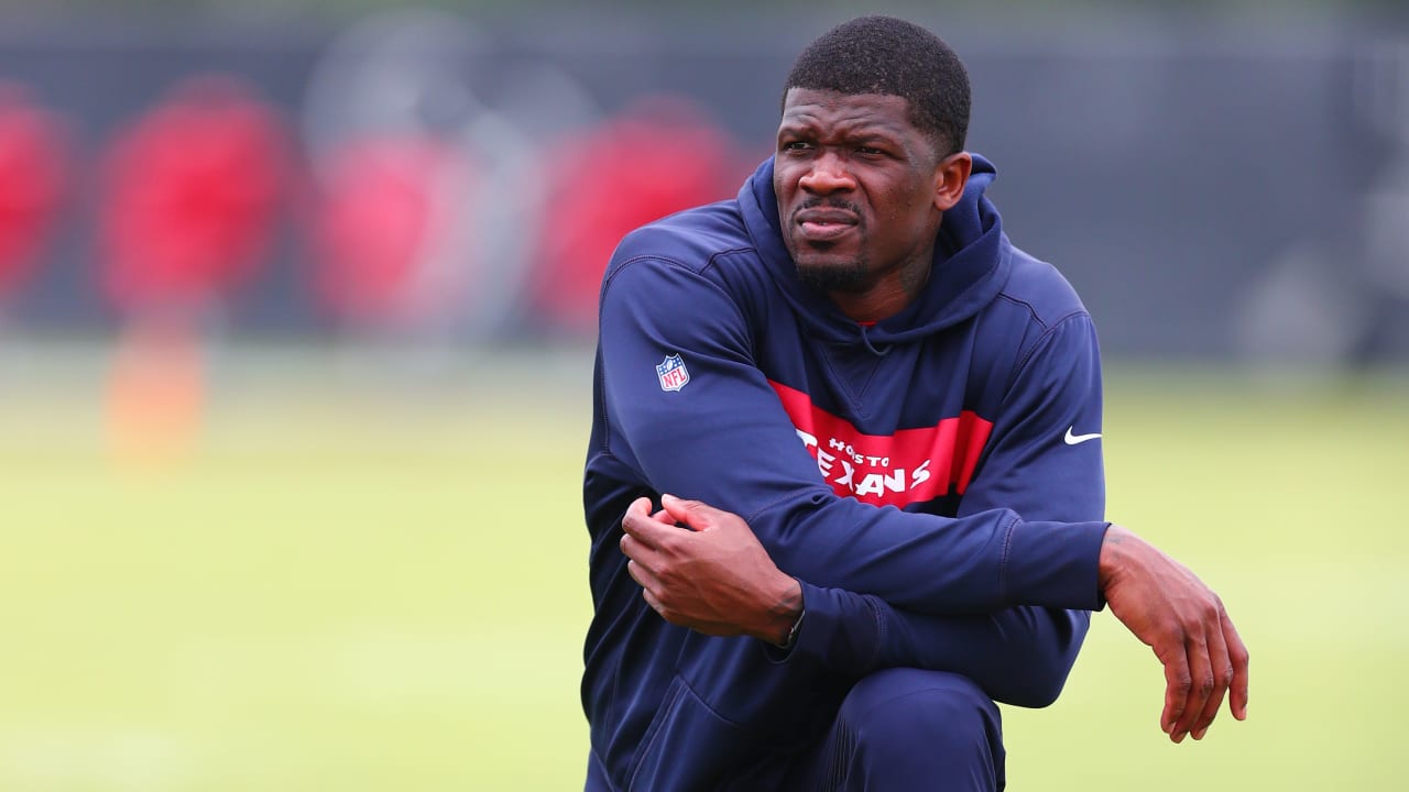 Andre Johnson advising Texans on, off the field in OTAs