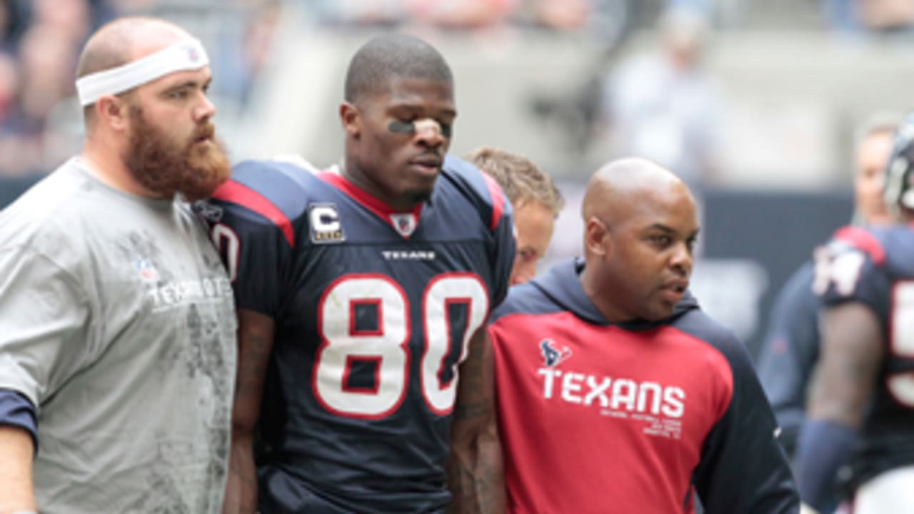 Andre Johnson Fights Cortland Finnegan During Titans-Texans Game