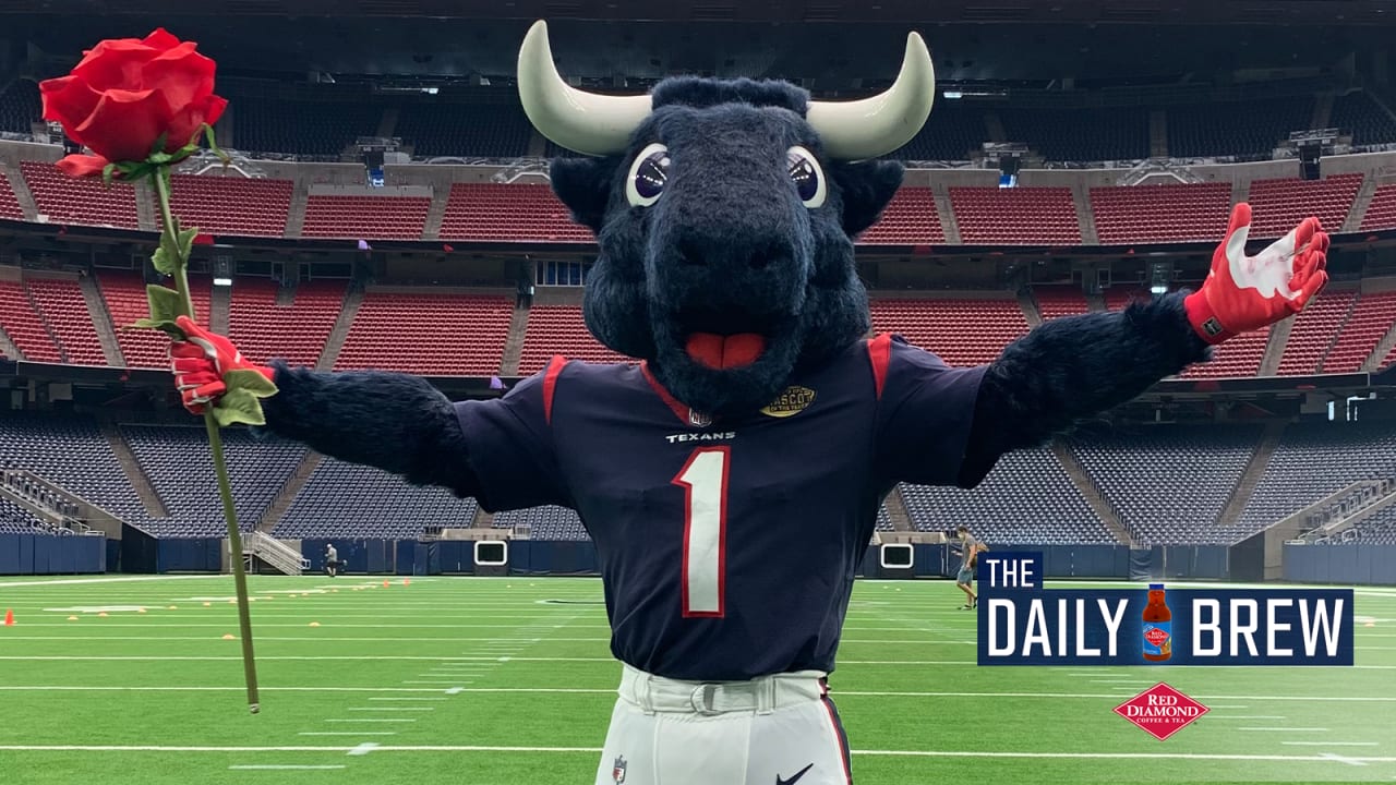 Houston Texans - Stadium Dude