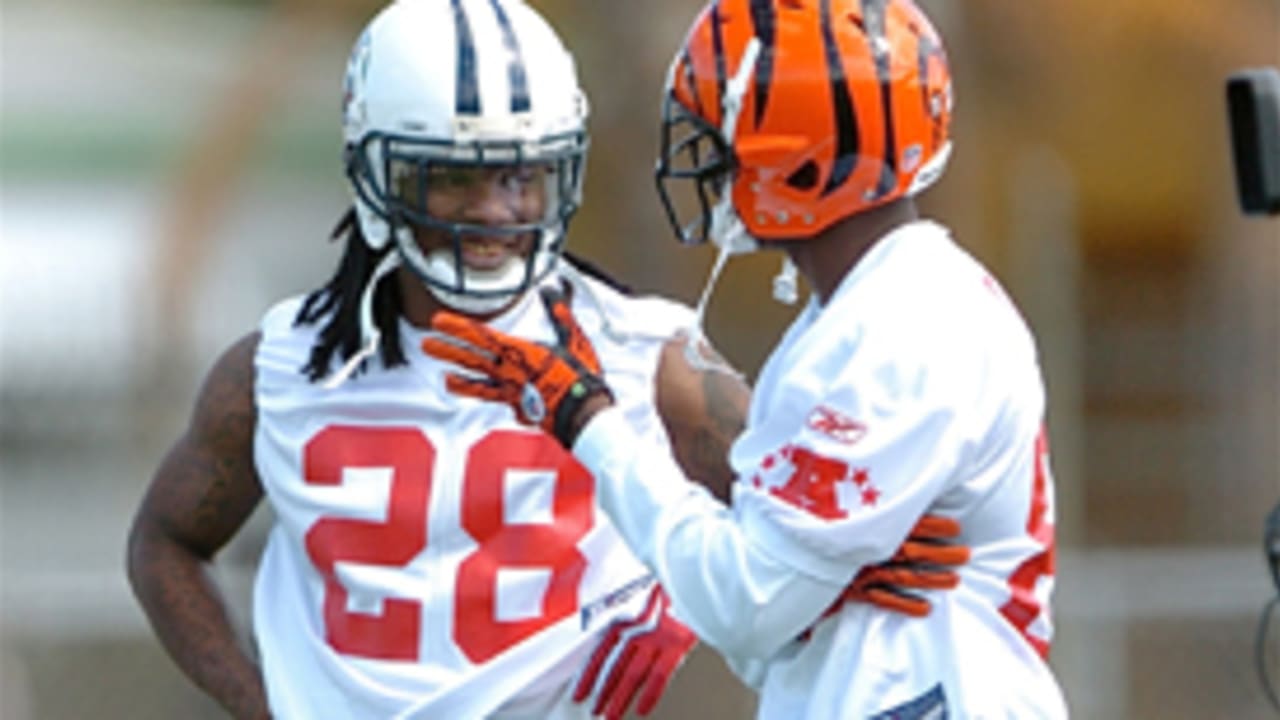 Chad Ochocinco takes in the Patriots morning practice session 