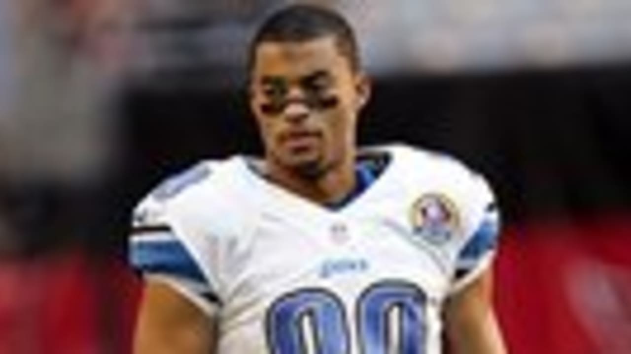 Titans Agree to Terms with WR Brian Robiskie