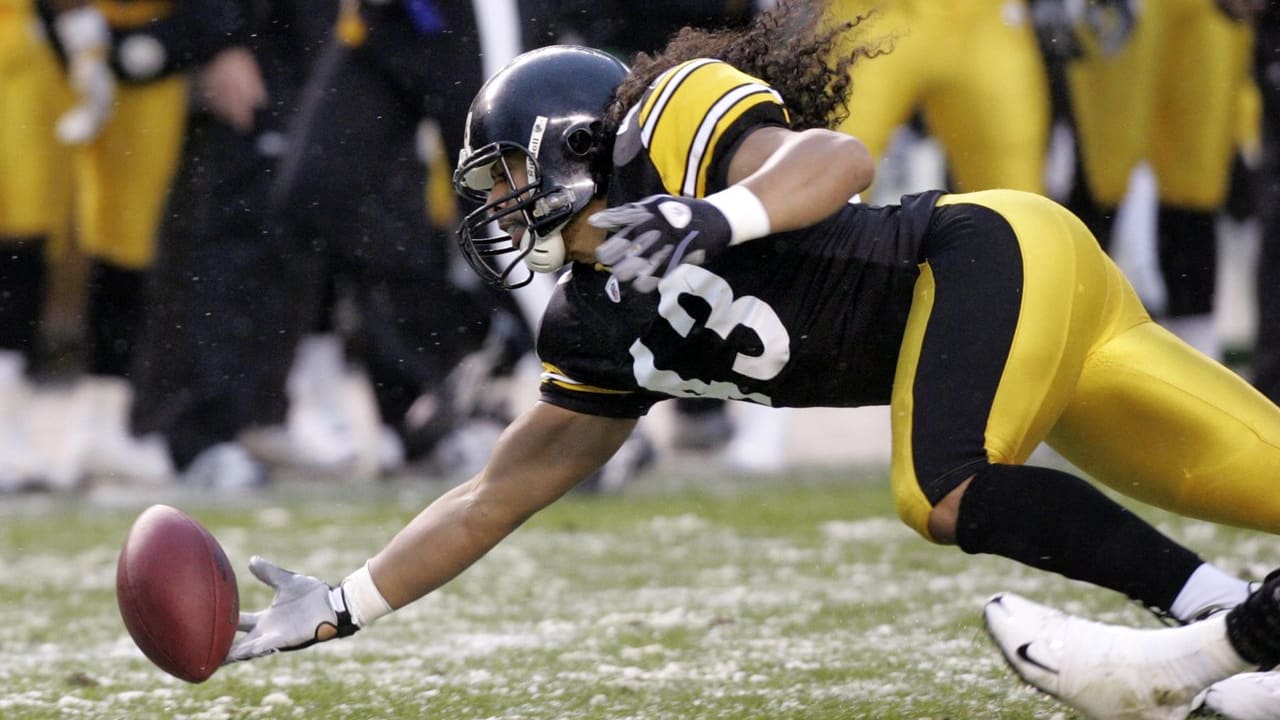 The best of Polamalu