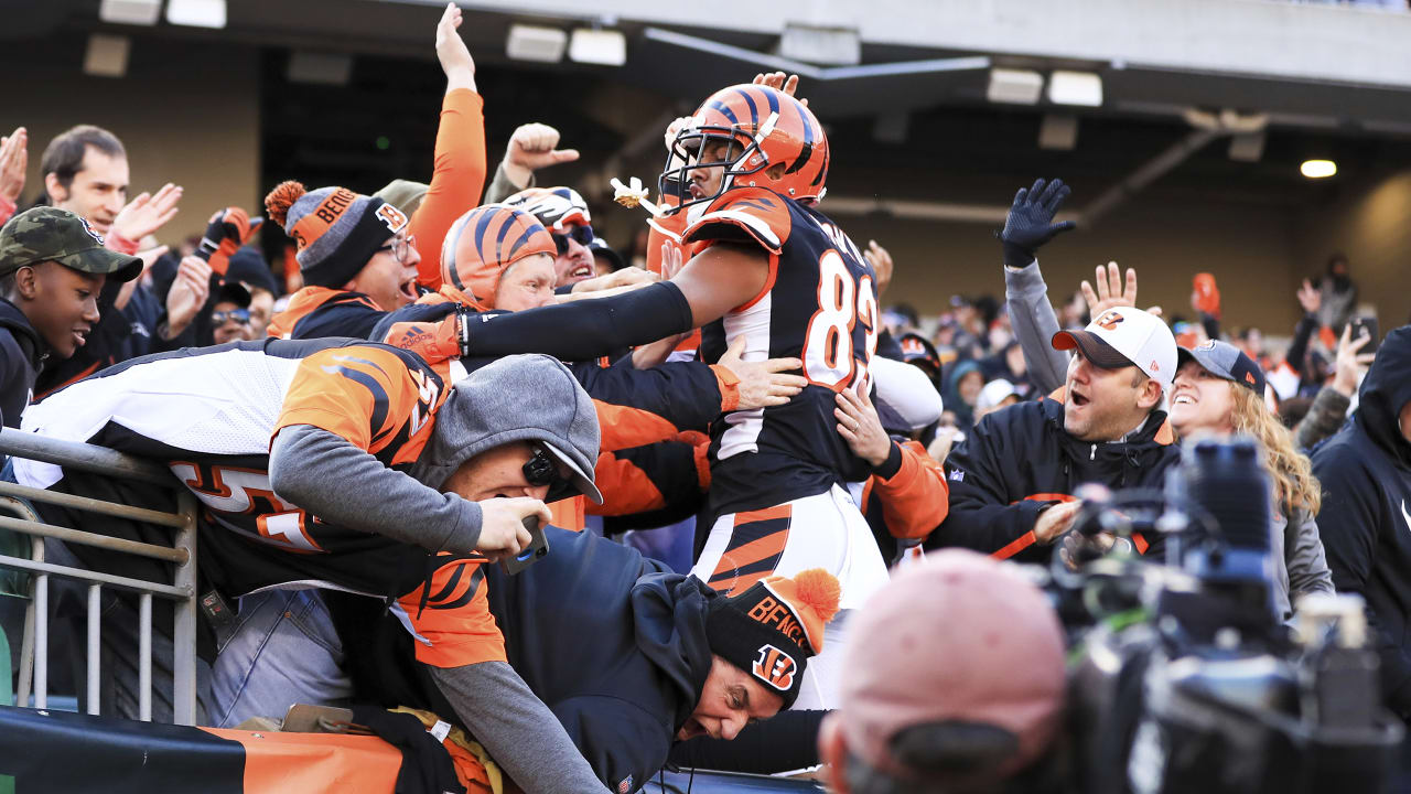 PHOTOS: Bengals fans don their stripes in L.A.