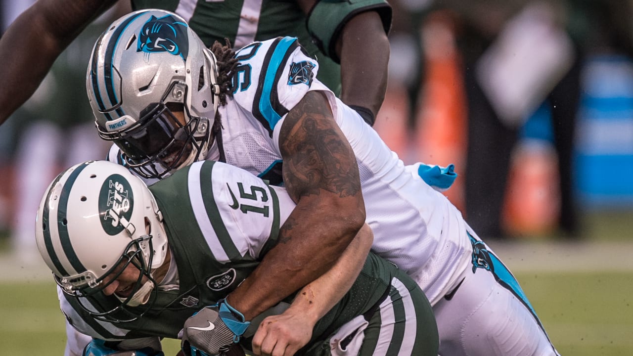 Panthers alltime sack leaders