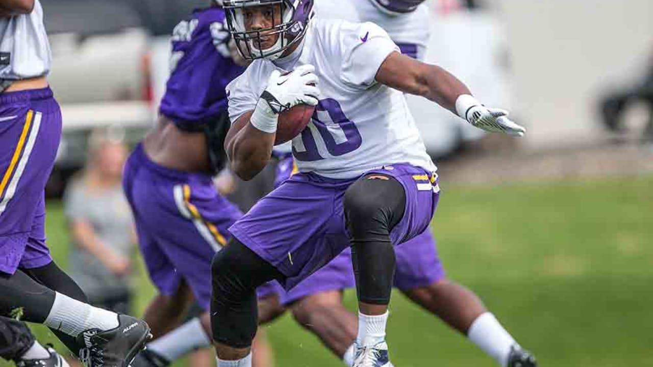 Vikings add Duluth's C.J. Ham to roster - Perfect Duluth Day