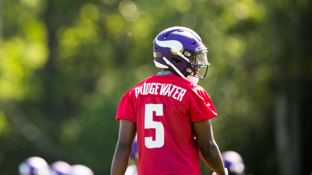 10 Hidden Stats About 2015 Minnesota Vikings