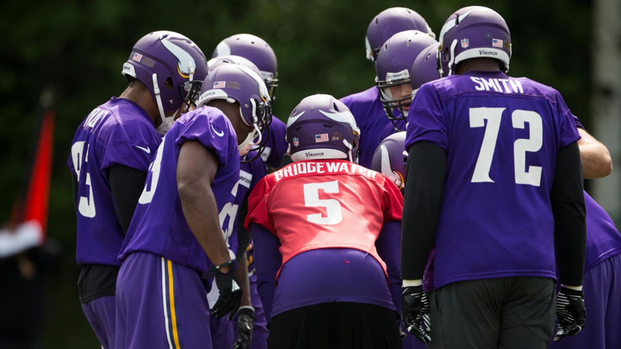 7 Topics as Vikings Minicamp Approaches
