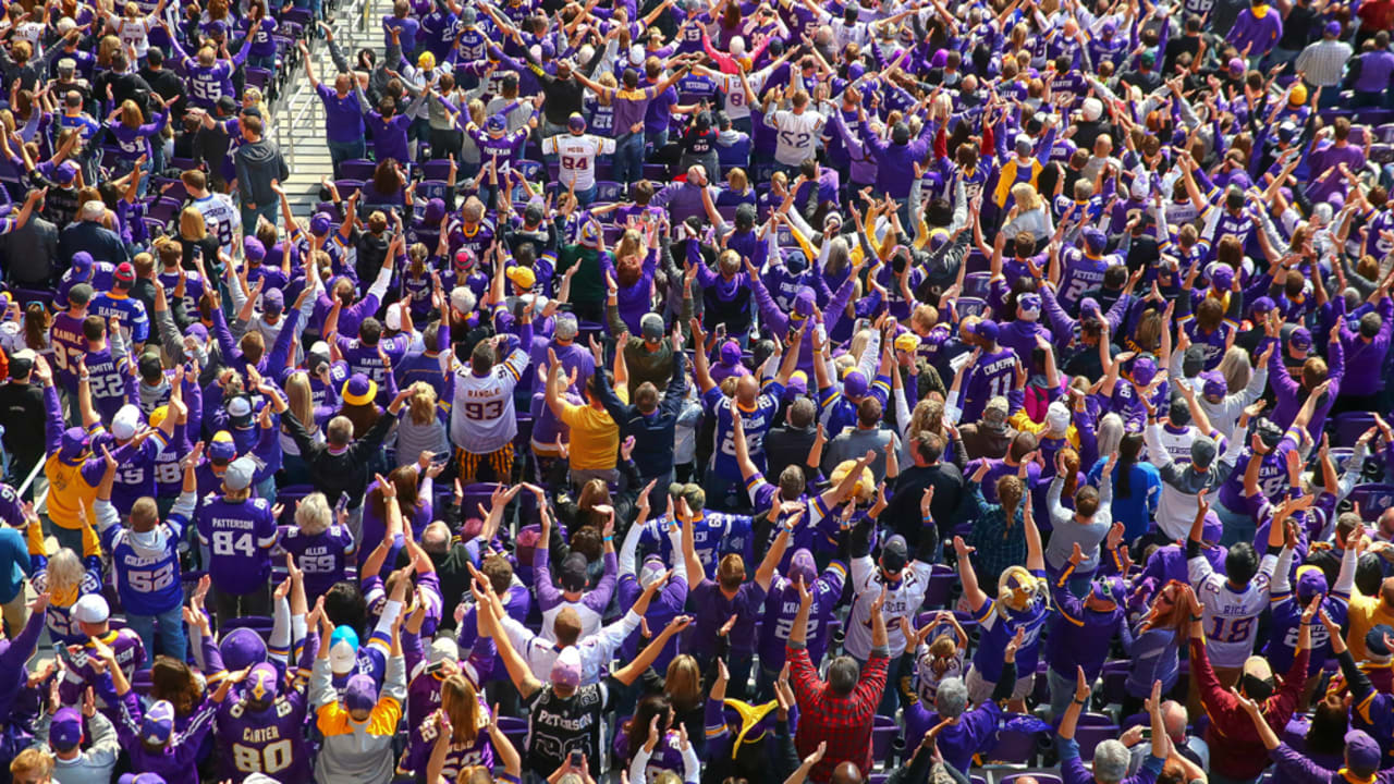 A Minnesota Vikings fan cheers during the opening ceremonies of an