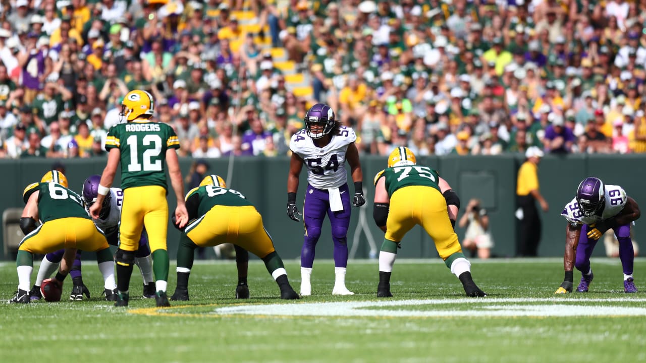 NFC North: Minnesota Vikings, Green Bay Packers tie, 29-29