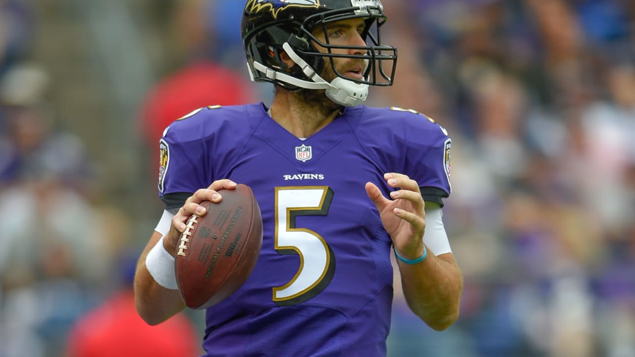 Ravens vs Green Bay 10_7_2013