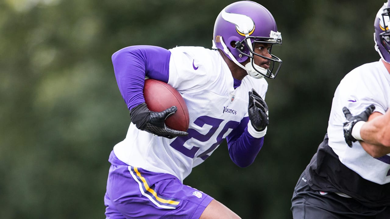 Vikings Want To Keep Mike Wallace, Phil Loadholt